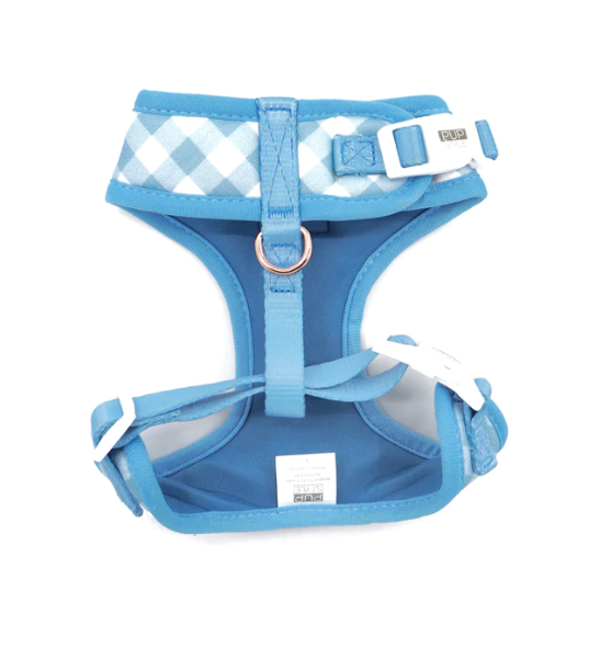 Blueberry Muffin - Adjustable Dog Harness