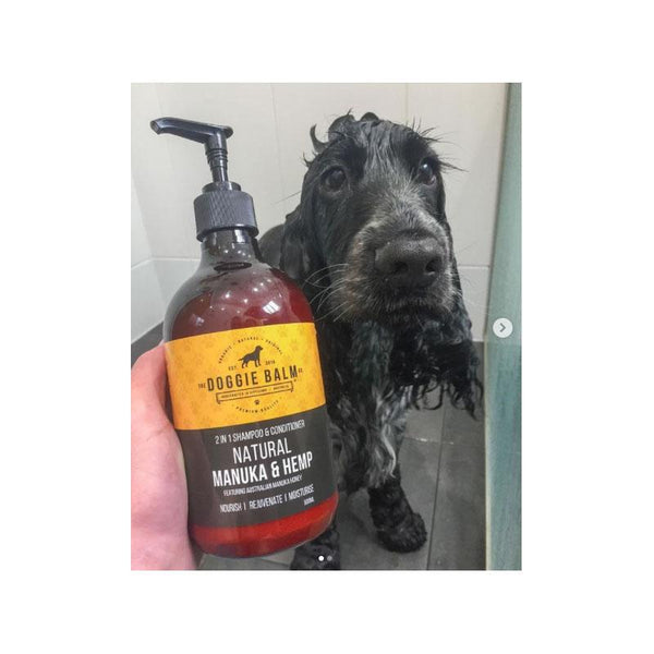 Manuka & Hemp - Natural Dog Shampoo & Conditioner - Furry Lane Pet Boutique