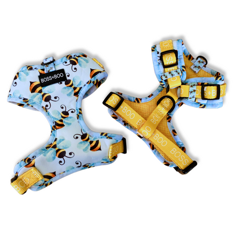 Bumble Bee - Adjustable Dog Harness