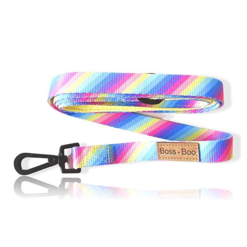 Rainbow - Dog Leash - Furry Lane Pet Boutique