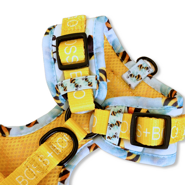 Bumble Bee - Adjustable Dog Harness