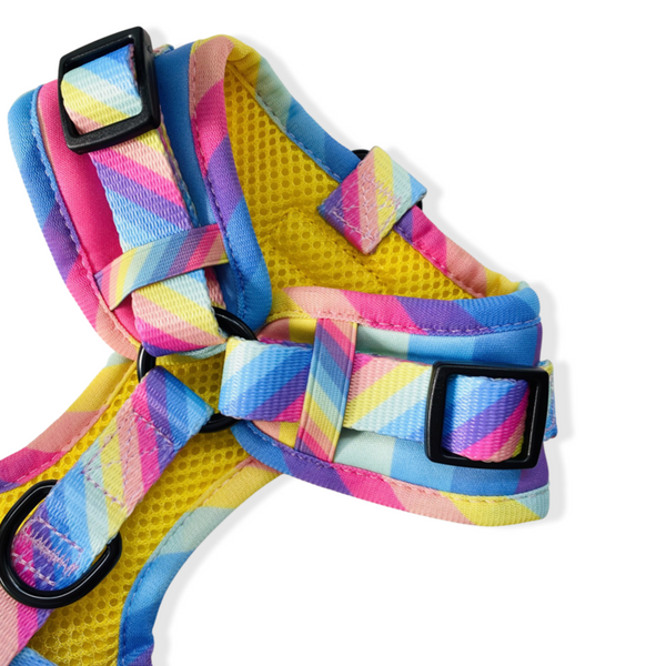 Rainbow - Adjustable Dog Harness - Furry Lane Pet Boutique